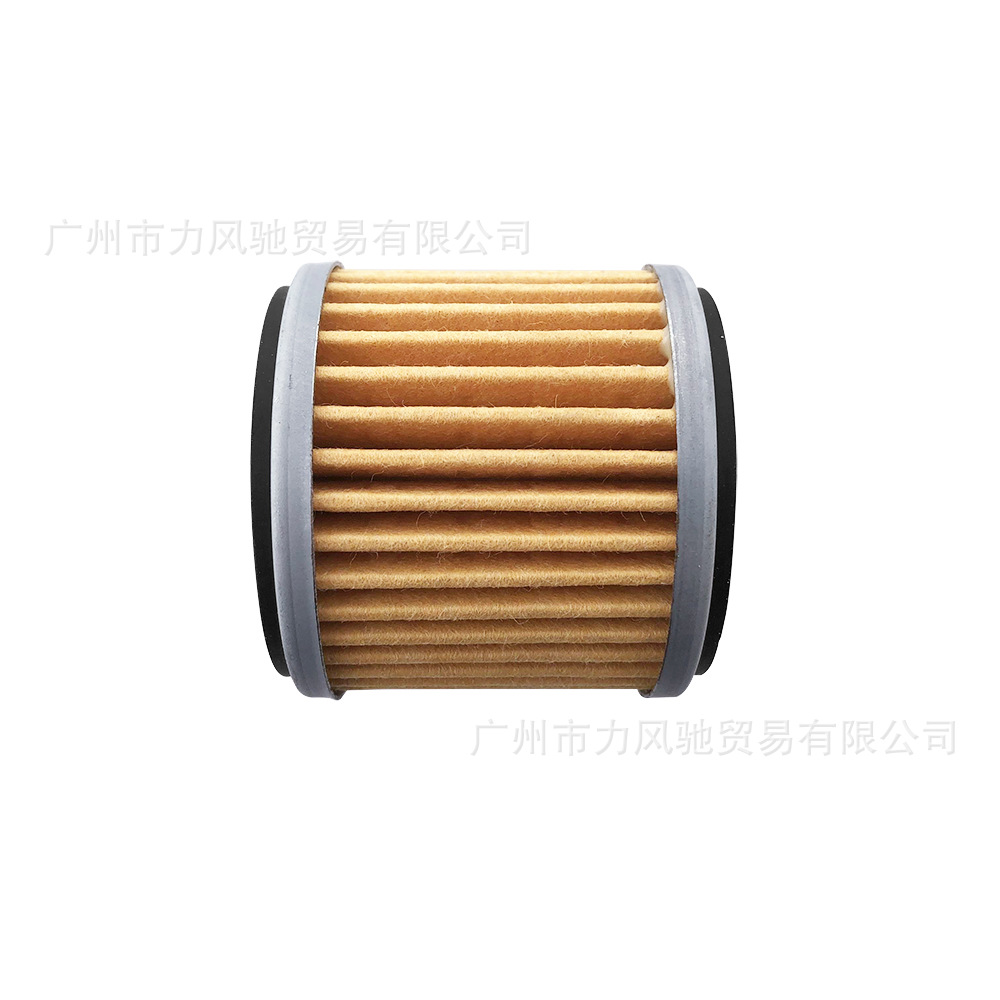 Aplicable a Xiaohuanglong 250 TNT25 BJ250 - 15A BJ250GY - 2 cartucho de aceite de la rejilla de filtro
