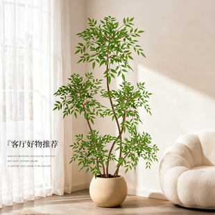 连云港优植电子商务有限公司