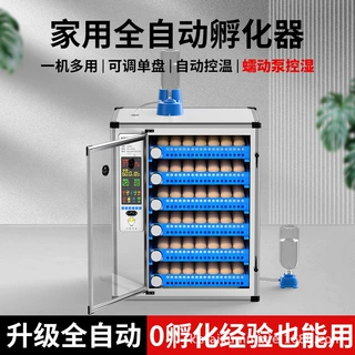 大型家用孵化机 鸡鸭鹅鸽子鹌鹑孵化箱自动补水智能恒温孵蛋器