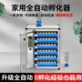自动智能恒温家用孵化机