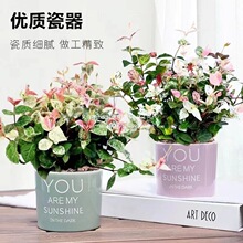 ���~�jʯ���~�jʯ�҃��̨���m����ֲ�����ٻ����S��jʯ��ʻ���