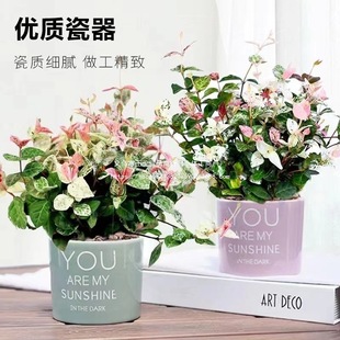 ���~�jʯ���~�jʯ�҃��̨���m����ֲ�����ٻ����S��jʯ��ʻ���