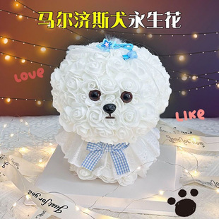 �������˹��Y����Ů��25CM�������R����˹ȮPE��ĭ��õ�幷�����l