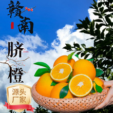 �����M���M��Ě�ȑ���ˮ������������r���ʮ���b�ǐ��¹�����38