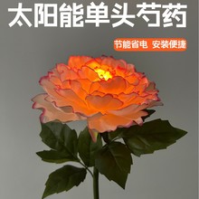 LED̫�����ș���ز�� ������滨ͥԺ��ƺ��@���b��^�Շ���