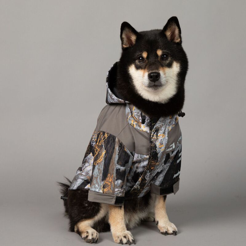 Paw Dream Trendy Windproof and Rainproof North Face Dog Raincoat for Large Dogs Dog Pet Jacket