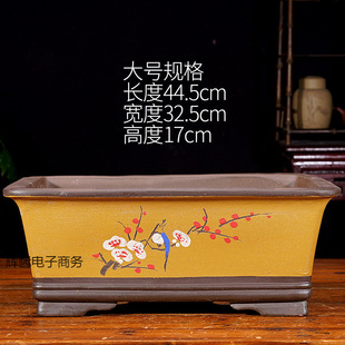 ��ɰ���躣���辰�躆�s����ֲ�ﻨ�������մɻ����L�����辰��;