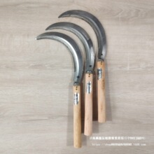 �r��ľ��砵��砵���X��砵�