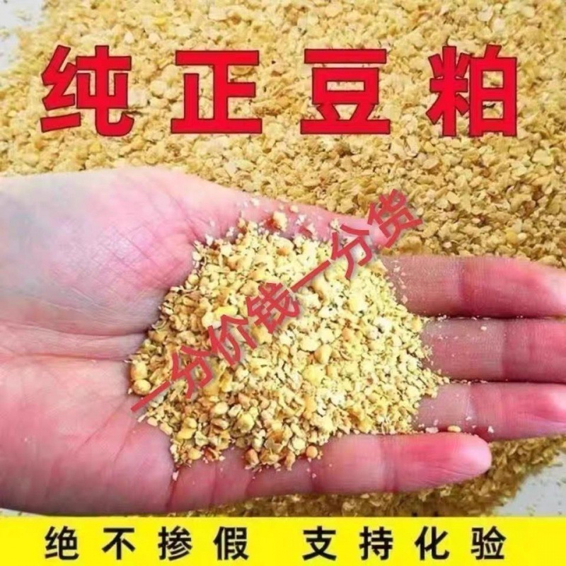 Factory Direct Sales Cheap Soybean Meal Wholesale Price Feed for Chickens, Ducks, Geese, Sheep, Rabbits, Pig Feed, Fishing Special Price Mail