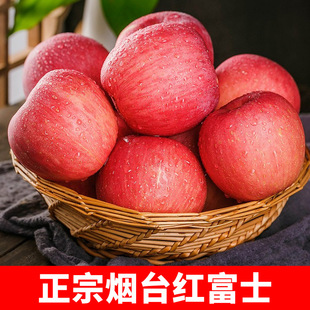 �t��ʿ�O��ˮ��5�����rɽ�|��ϼ�خa�����Ƽ������������]���l