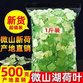 厂家直销微山湖荷叶茶纯500g野生天然干荷叶片颗粒新鲜特级正品