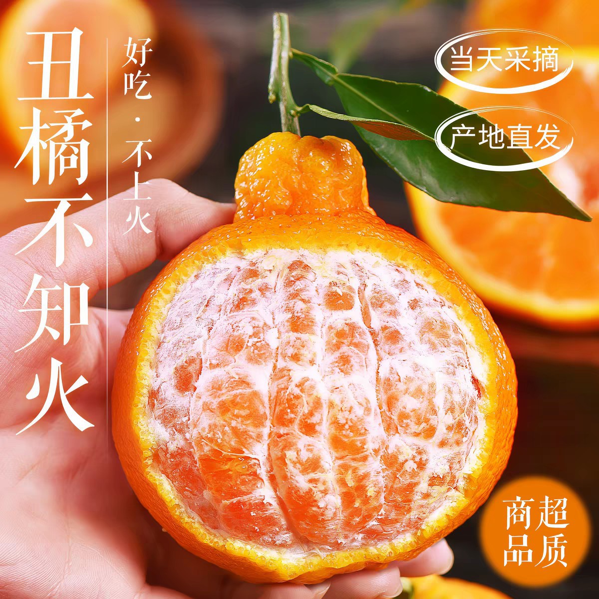 四川不知火丑橘应当季水果柑橘丑橘包邮新鲜水果丑橘一件代发