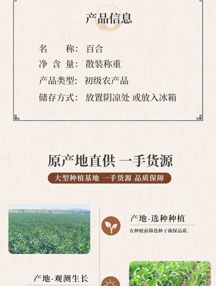Dried Lily Bulb Bai He 百合 500g Sulfur-Free Herb Slices for Tea Soup and Congee quality and texture