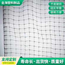 镇江厂家柔性防护网包山固山山体滑坡拦石网 家用菜园果园防鸟网