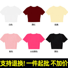 �̿�����t�� �ފW���� 95%�� 5%���]��ɫ