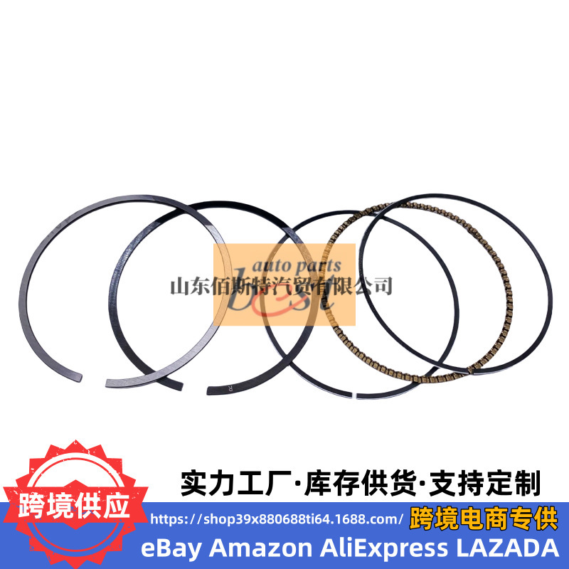 23040-02950 Is Suitable for Hyundai Kia Piston Ring 23040 02950 2304002950
