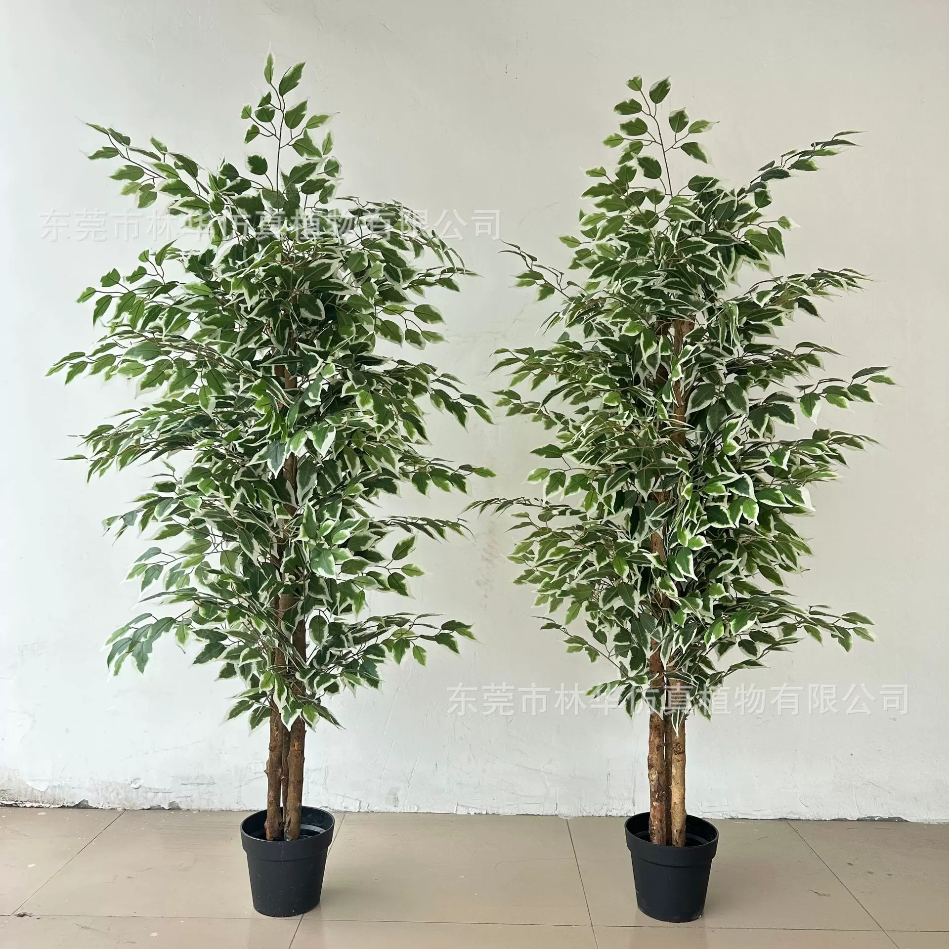 跨境专供绿植榕树盆栽树室内客厅落地装饰摆件假树仿真白边榕树