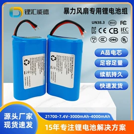 锂电池;其他电池