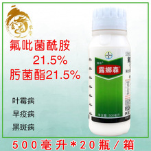 ݶ¶ɭ뿾ڶа߲ù׷۲rș500ml