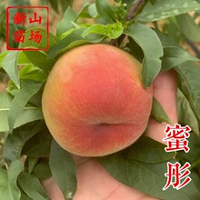 ����ͮ���硿����5�µ������V�|�V���N��Ʒ����̨�rˮ�����Ә���