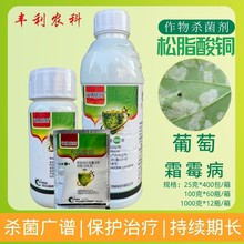 ���� 20%��֬���~�������~�G���~������˪ù���~�߲�������