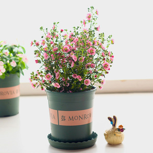 Сľ�Ȼ������ļ��_���������ز��烞��Ůʿ΢��ݮ���ܶ���������