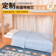 厂家批发新疆棉学生宿舍被芯磨毛单人被褥四季通用居家秋冬两用被