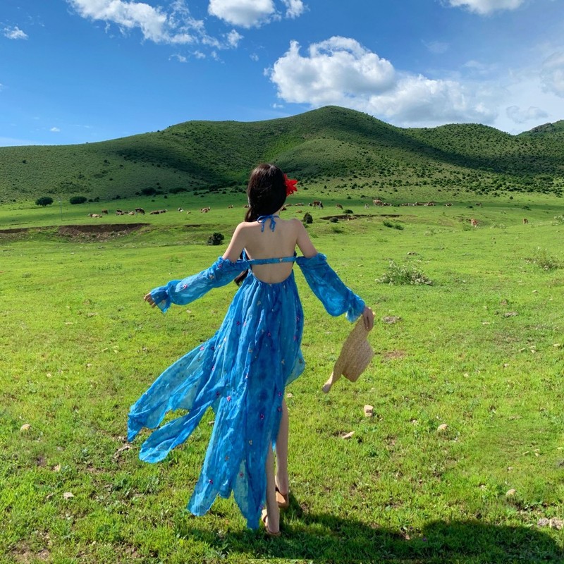 实拍“碎冰蓝鸢尾”夏日蓝玫瑰露背吊带裙可拆卸袖两穿度假连衣裙|undefined
