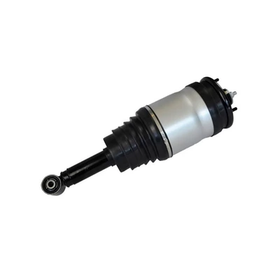 Air Suspension Shock Absorber – Reducer assembly