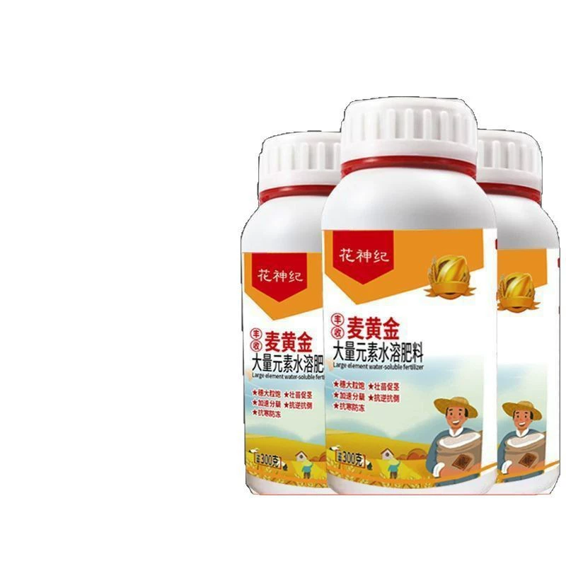 Май Золото морозостойкие и морозостойкие саженцы анти-перевернутое повышение урожайности