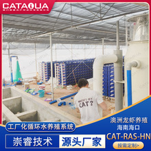 崇睿技术澳洲龙虾工厂化循环水养殖系统渔业养殖过滤设备