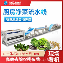 大型瓜果蔬菜清洗菜机器气泡净菜加工全自动化流水生产线商用设备