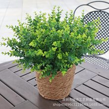 ���R�d���N�����Gֲ���� ����С���[�O����Gֲ�b� �쾰�b�Ʒ