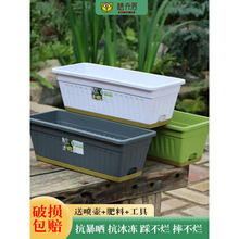 ���W�����L�����L�l������û���Nֲ��N�����̨�Ғ�ʽ����