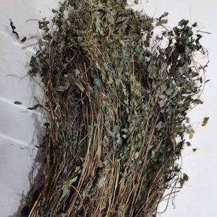 ���l��ș��ˮ�S�B�����^���ɲݣ��S�_�u�rƷ�r���в�șș��