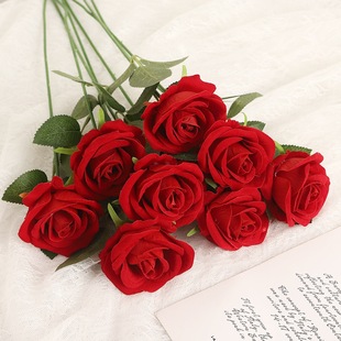 �q������õ�廨���l�ٻ�����彁����c��ƿ���˹��b����ɻ�