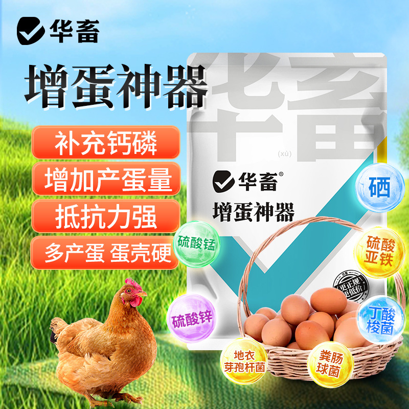 华畜增蛋宝芦丁鸡产蛋多鸡鸭鹅鸽用软蛋沙壳催蛋王禽用饲料添加剂