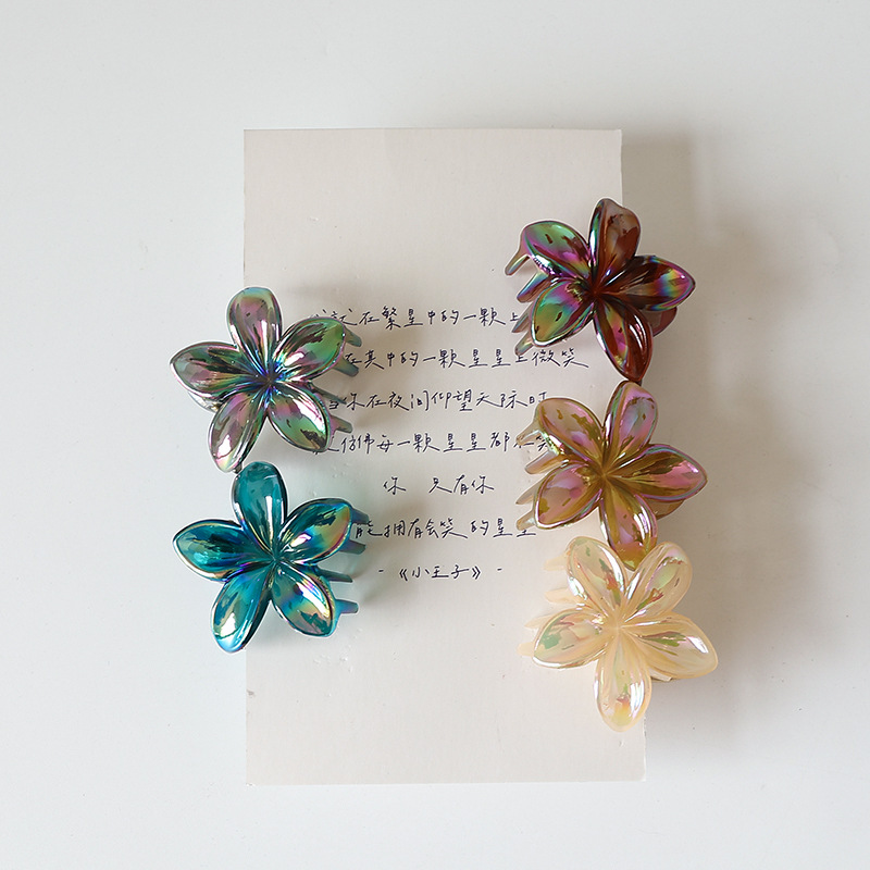 12g Weight Hair Claws Hair Accessories Type 1 Piece Quantity Holiday, Daily Occasion Plastic, Resin Material Plumeria Pattern Women's Gender Simple Style Style Simple Style Women's Plumeria Plastic Resin Hair Claws 6