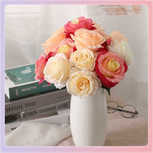 ?�W�t�������� �̿�õ�儓��[���[�O�����ٻ��b�d