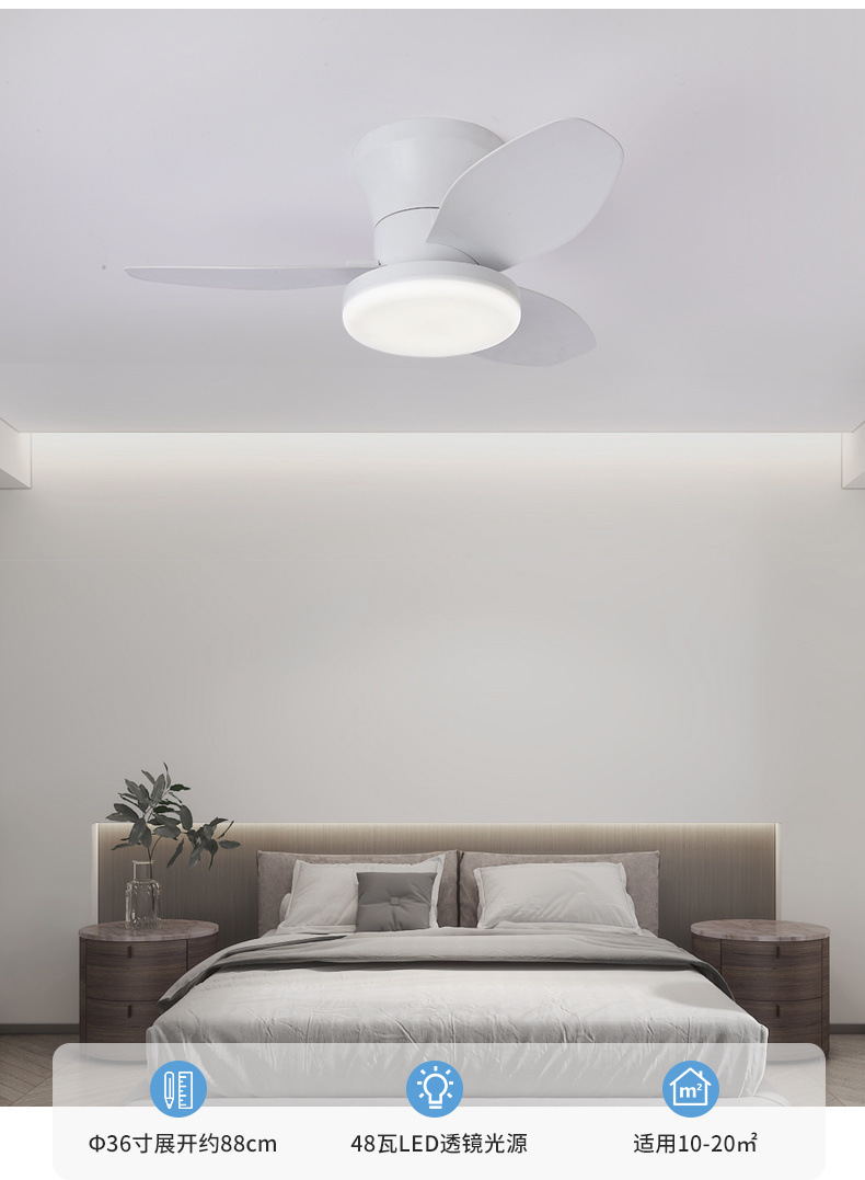 67b8c93b-f2e7-4b85-b4eb-eb67d2644e4d.jpe