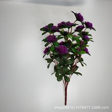 ���滨�����ٻ���ˇƷ������6����N��ӳɽ�t�S�����l��c���N