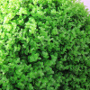 Milan grass ball simulation green plants Eugali green plastic plant fake flower ball ceiling indoor shopping mall decoration beautification