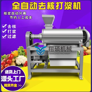 厂家生产加工芒果打浆机大型去核打浆机 水果去皮去核打浆机