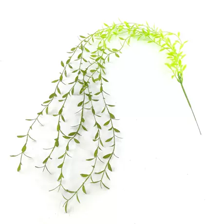 Green tail