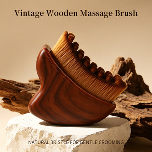 �ܰ�݆���������i�o��ˢ�沿ˢ�¿�Lymphatic Contour Face brush