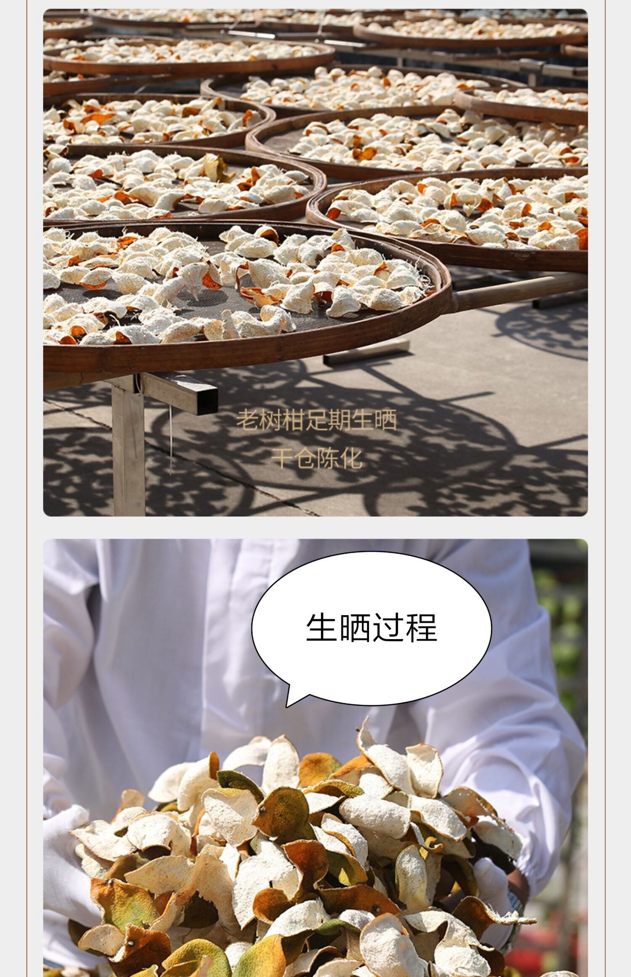 Aged Chen Pi Tangerine Peel Shreds 500g Xinhui Dried Citrus Peel Chenpi quality and texture