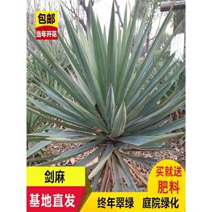 �������z�m�Pβ�mͥԺֲ��G�������ļ����G��ľ�^�~������С��