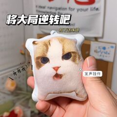 新商品の楊戸の猫の音のぬいぐるみのペンダントの抽象的な子猫の音の人形のペットのキーホルダーの音のペンダント