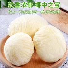 海南椰宝发芽老椰子6个装新鲜水果椰皇椰子芯网红清甜牛奶大椰