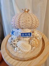 Bl⺣đƷɫֶYֹؐݺđؐSC